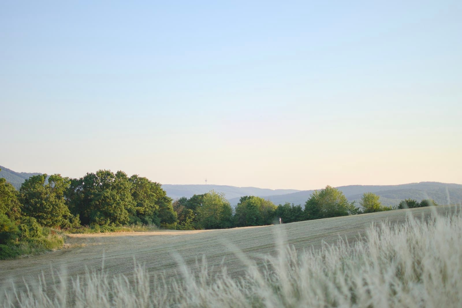 Klosterneuburg — Grassy field and trees with distant hills.