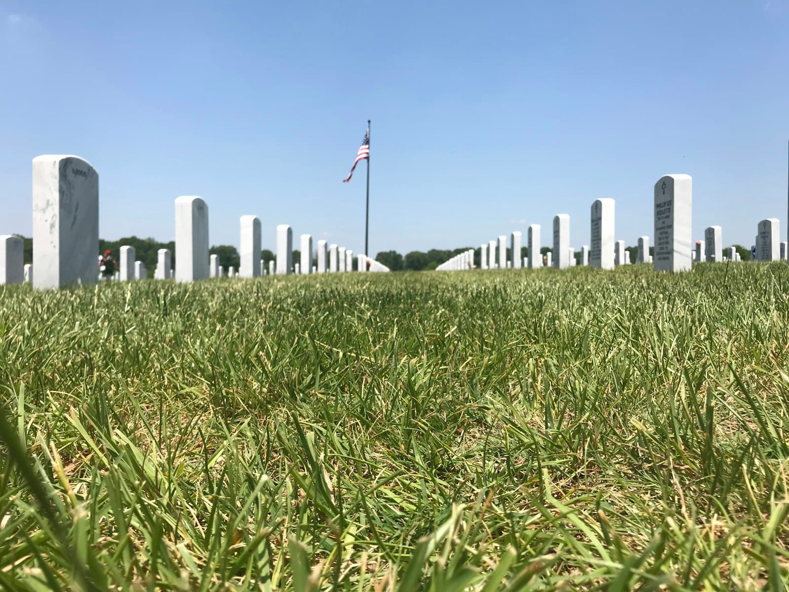 Knoxville — green grass field near city buildings during daytime