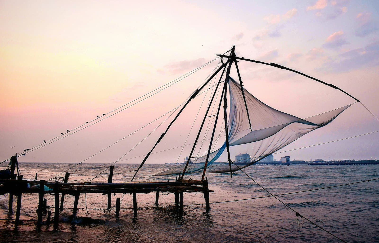 Kochi — white and blue tent on gray sand during daytime