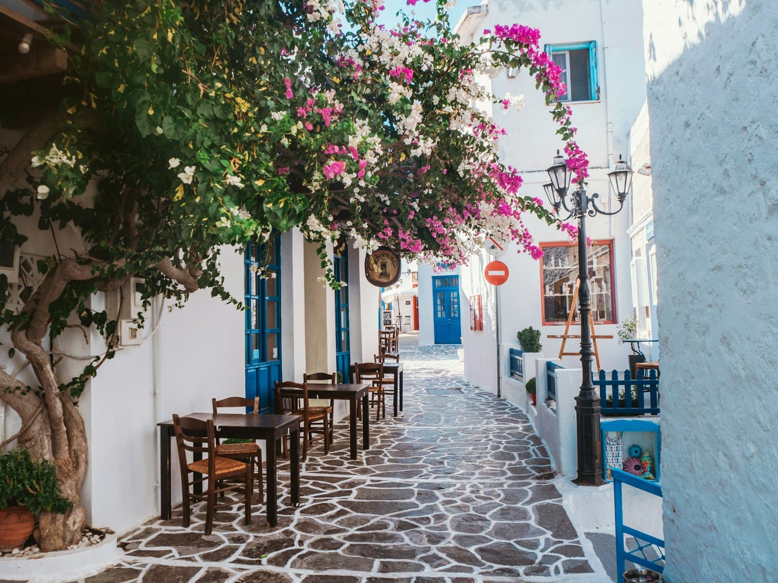 Kos — pink flower tree on white concrete building