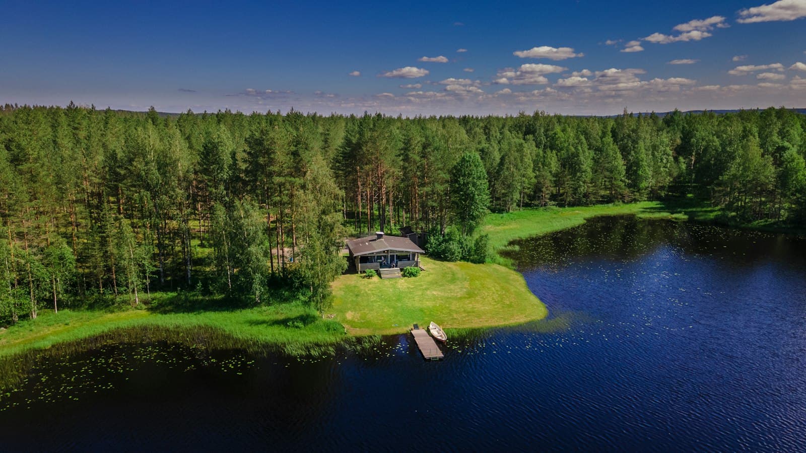 Kouvola — green pine trees near body of water during daytime