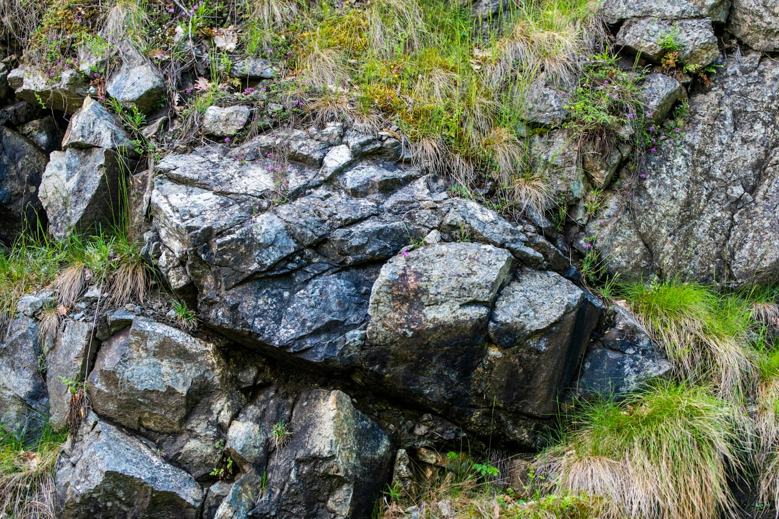 Kraljevo — Some rocks and grass on the side of a hill