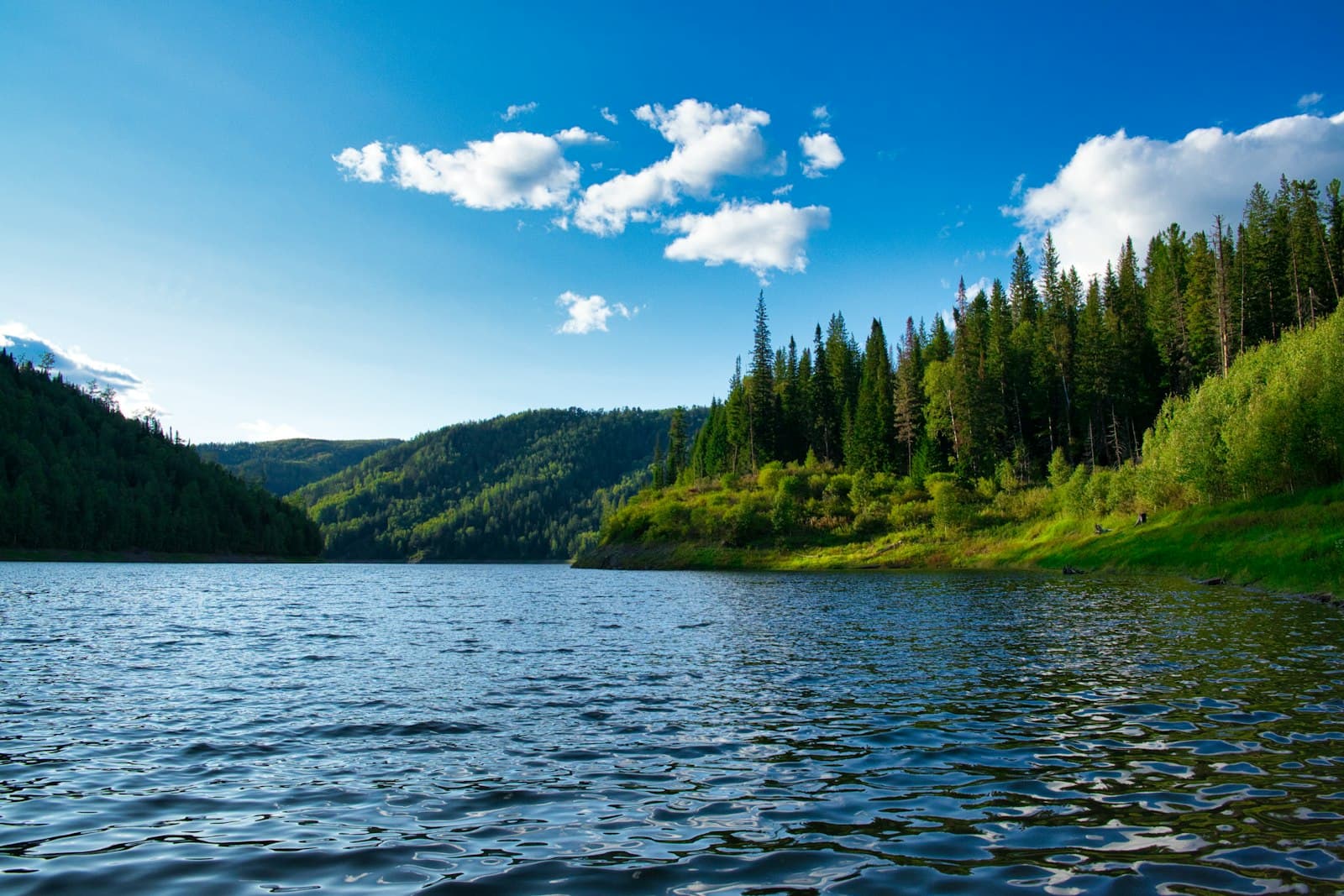 Krasnoyarsk — green trees beside body of water under blue sky during daytime