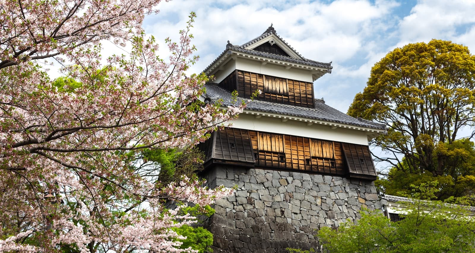 Kumamoto — a tall white and black building surrounded by trees
