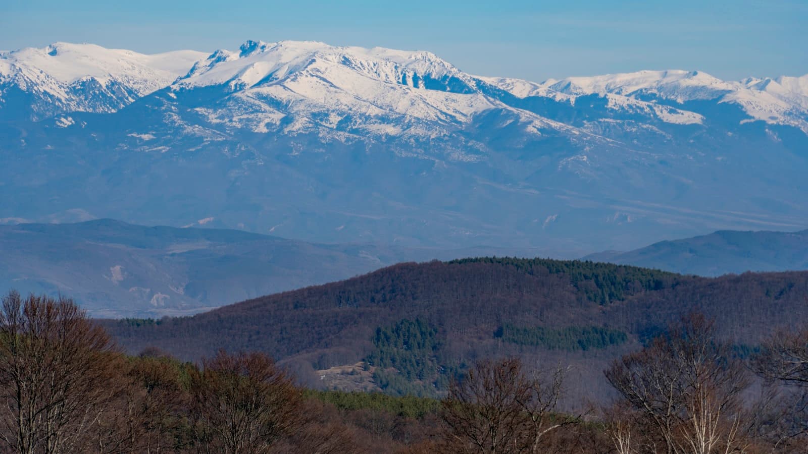 Kyustendil — a view of a snowy mountain range with trees in the foreground
