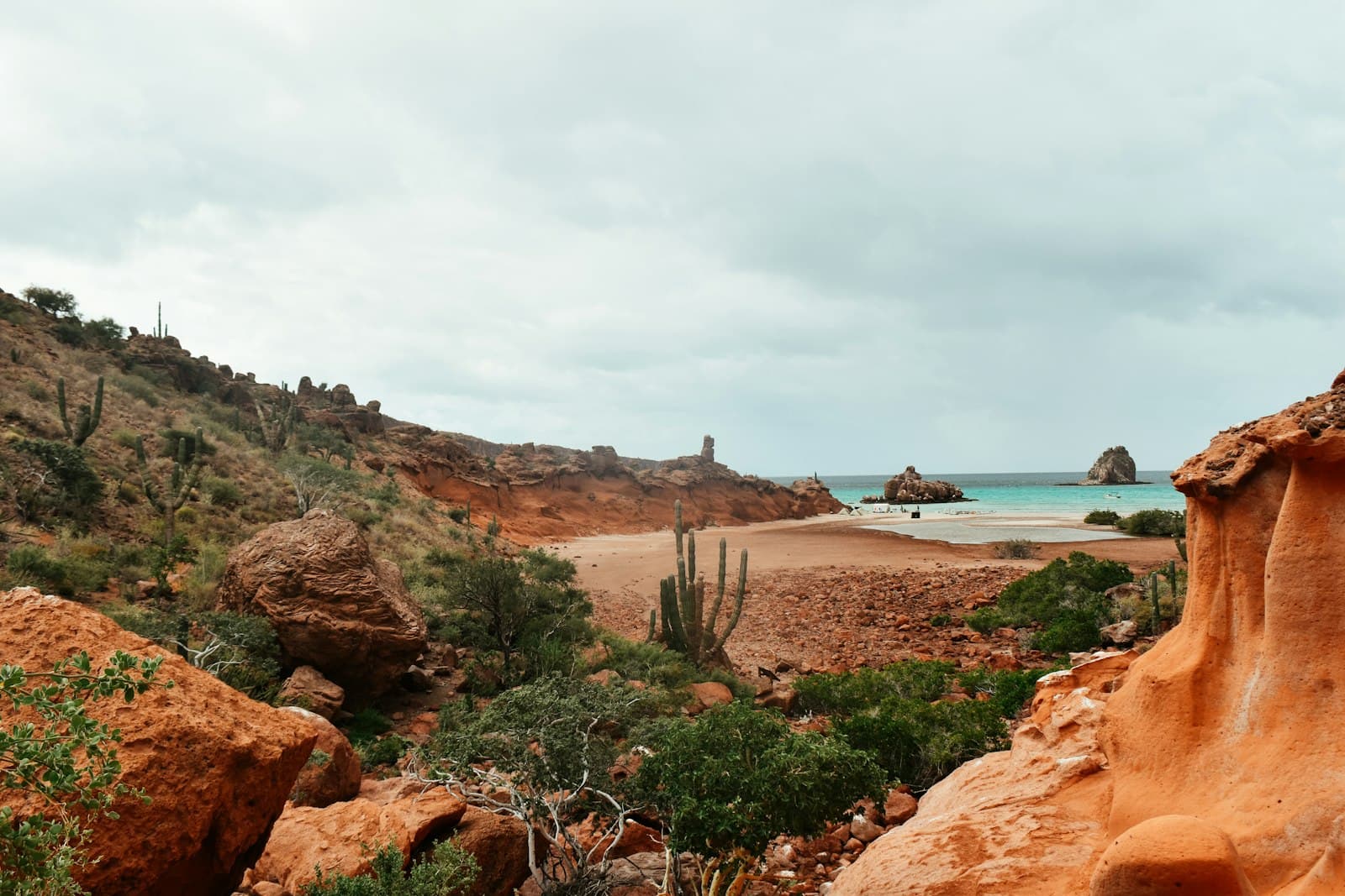 La Paz — a sandy beach with cactus trees and rocks