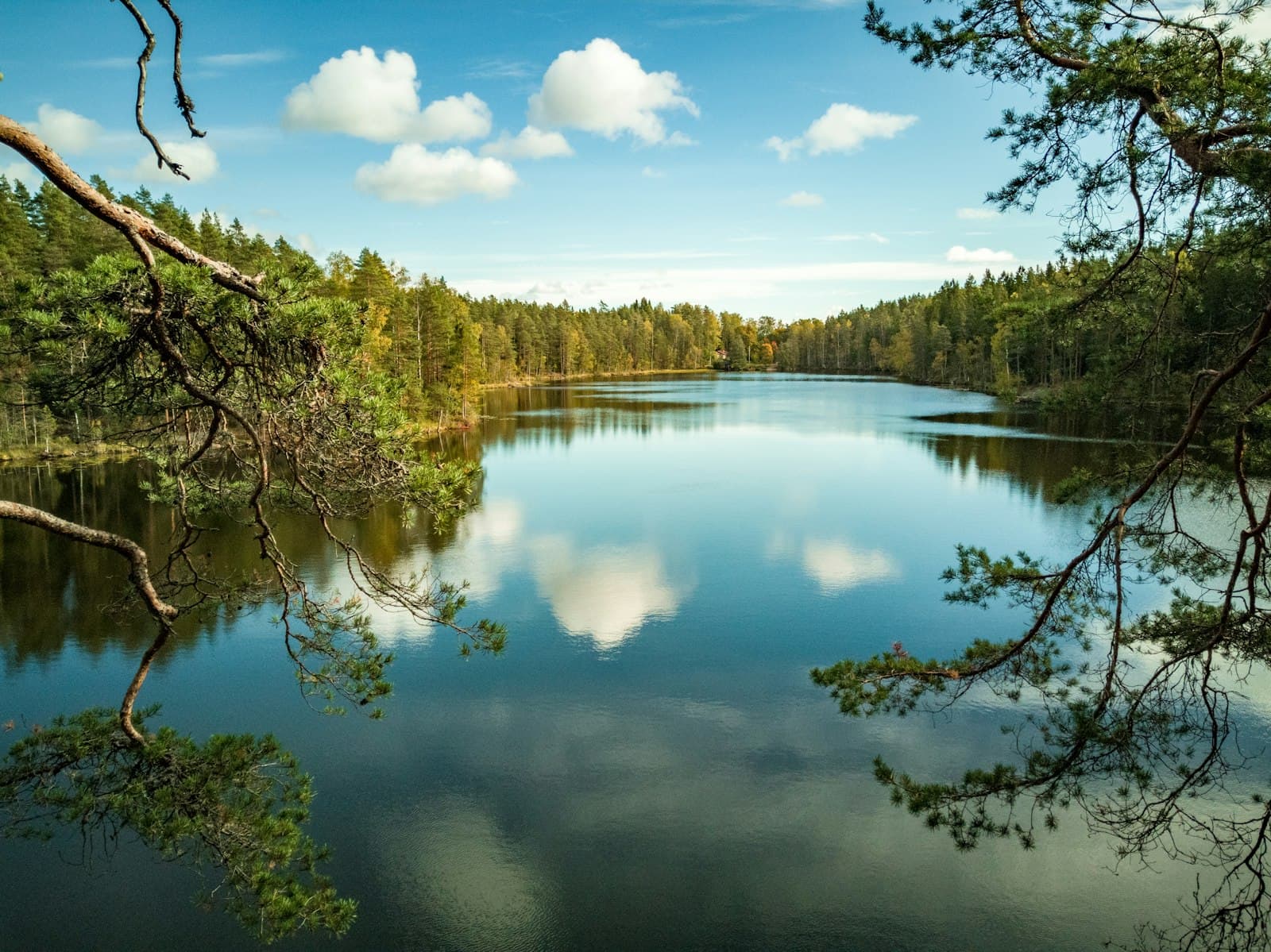 Lahti — green trees beside lake under blue sky during daytime