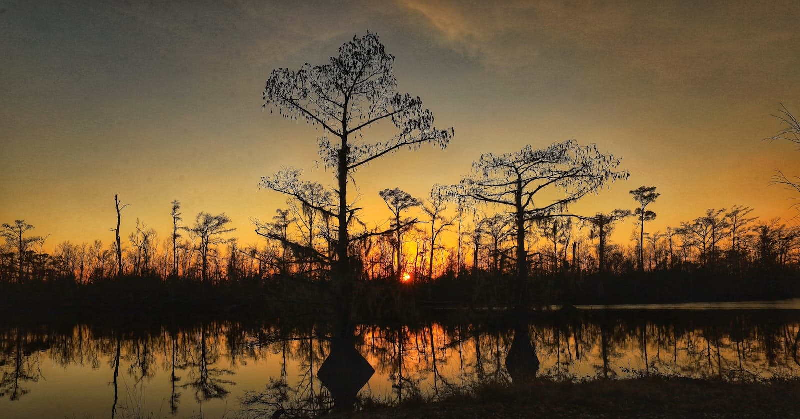 Lake Charles — the sun is setting over a swampy area
