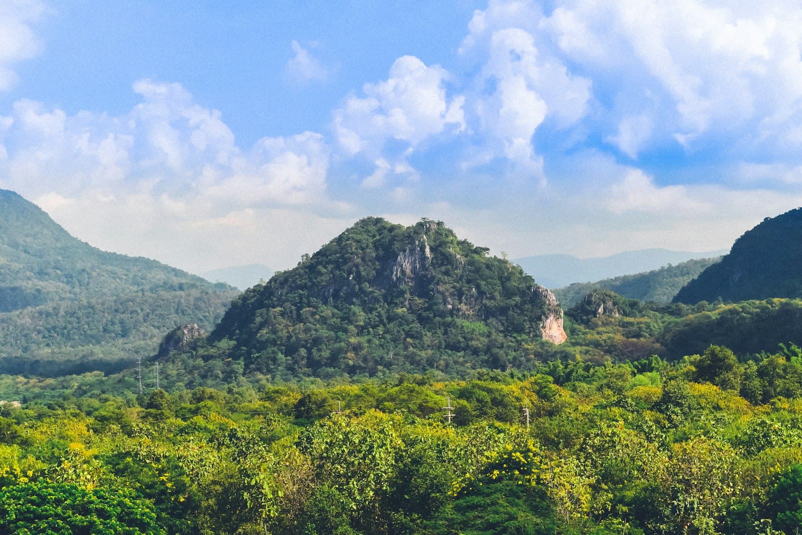 Lampang — a lush green forest filled with lots of trees