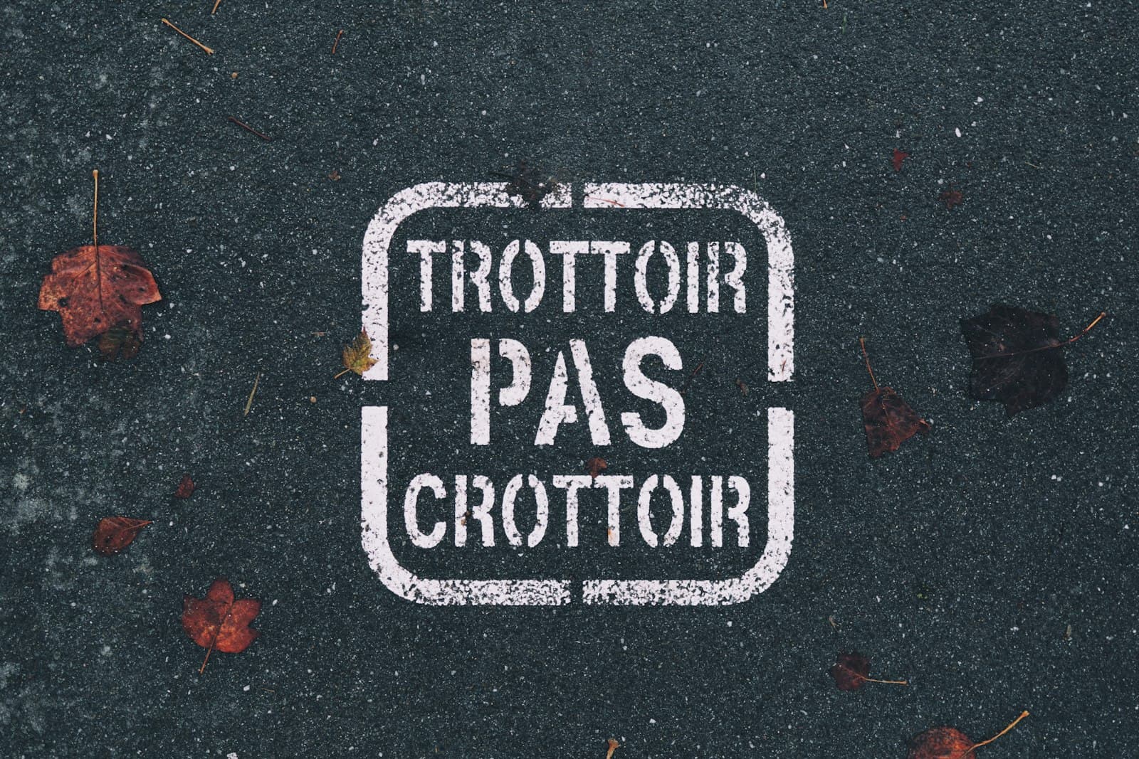 Landerneau — white Trottoir Pas Crottoir sign