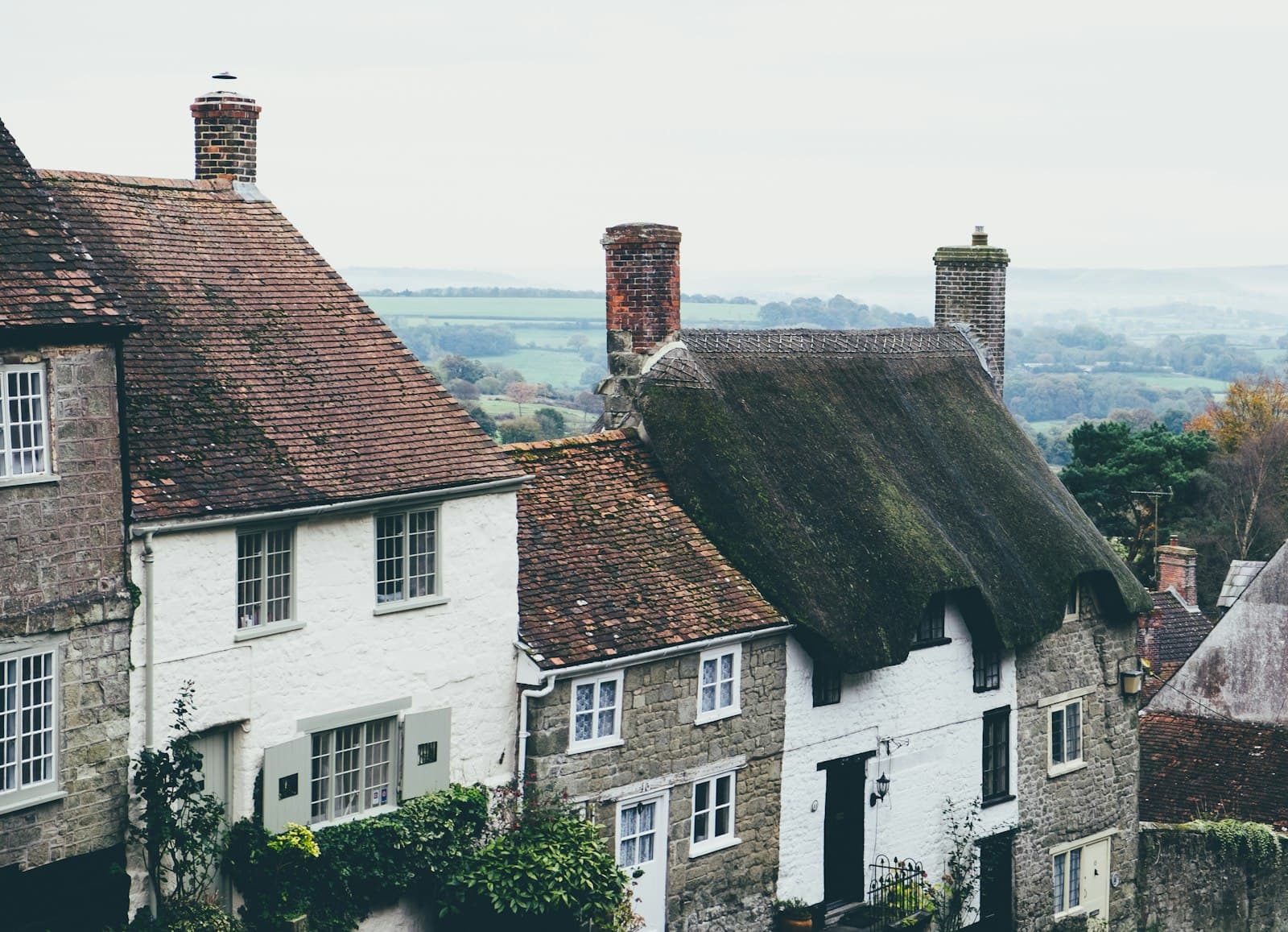 Lewes — top view photography of white and brown concrete houses