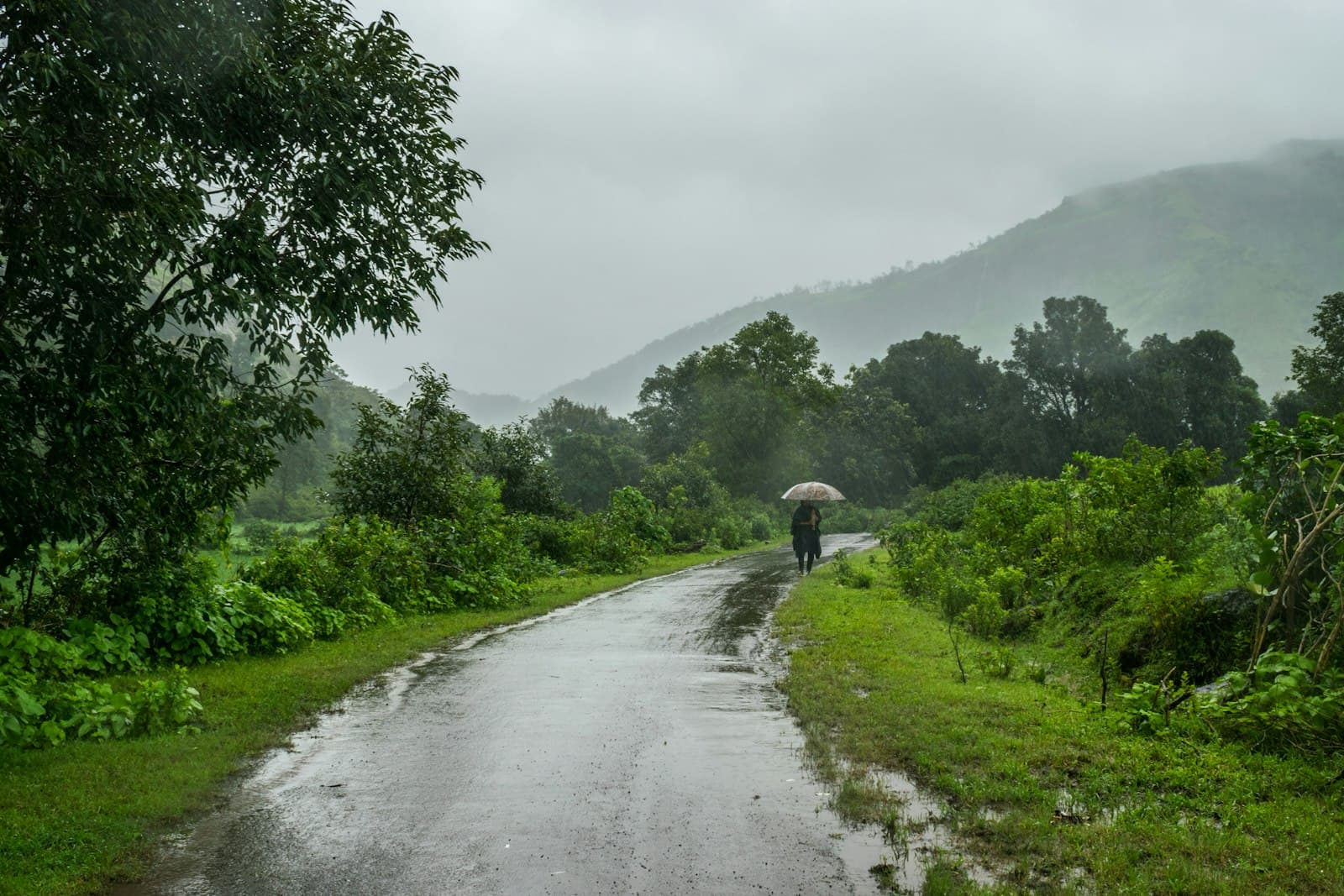 Lonavala — person walking on road between green grass field during daytime