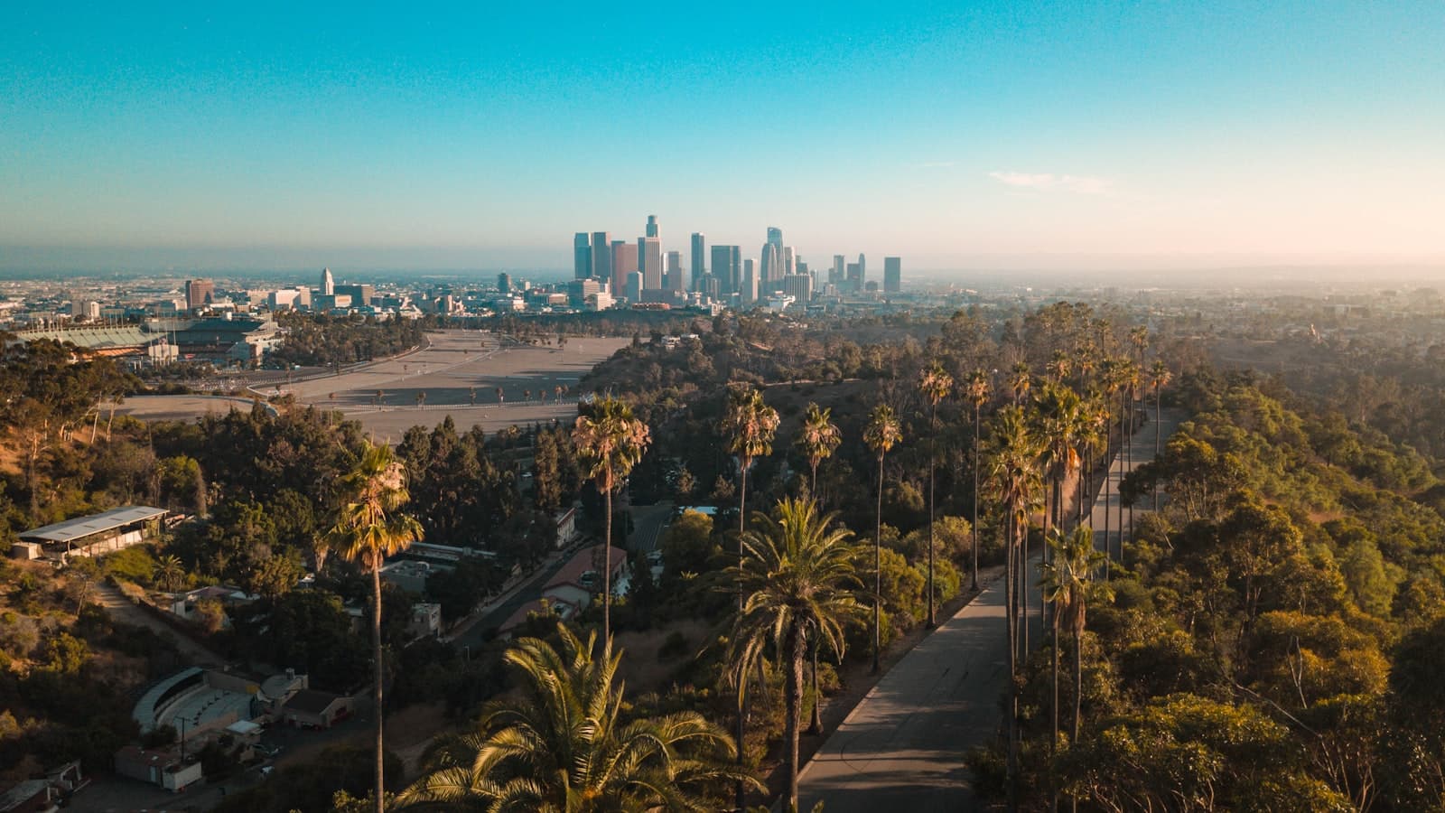 Los Angeles — bird's eye view photography of coconut trees under blue sky