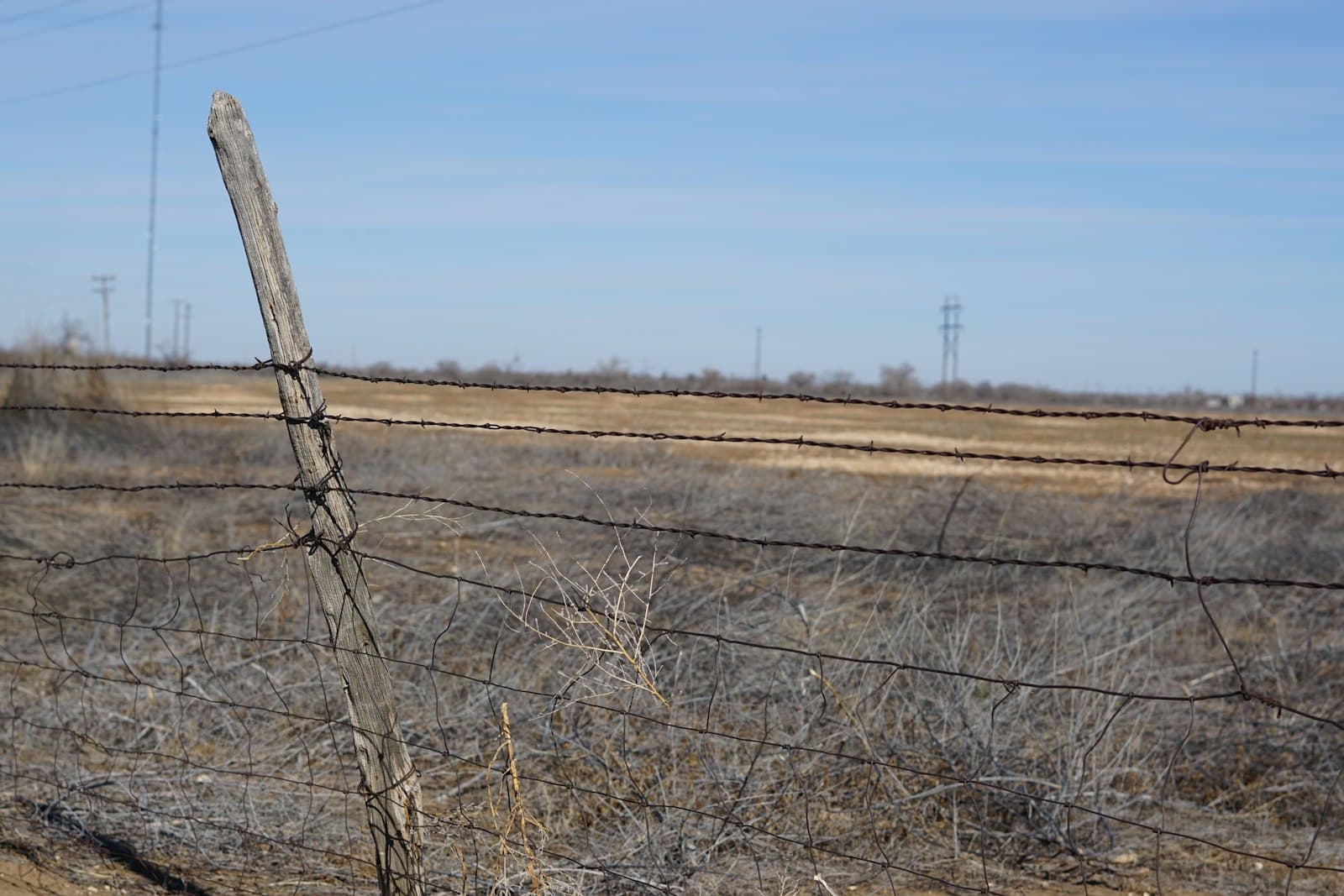 Lubbock — a barbed wire fence in the middle of a field