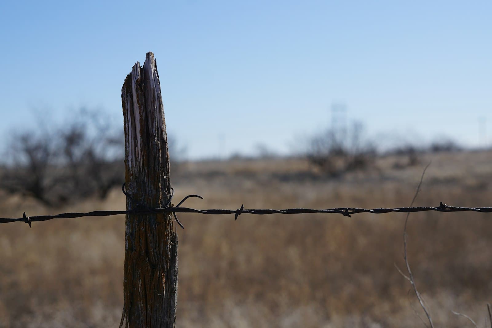 Lubbock — a barbed wire fence with a field in the background