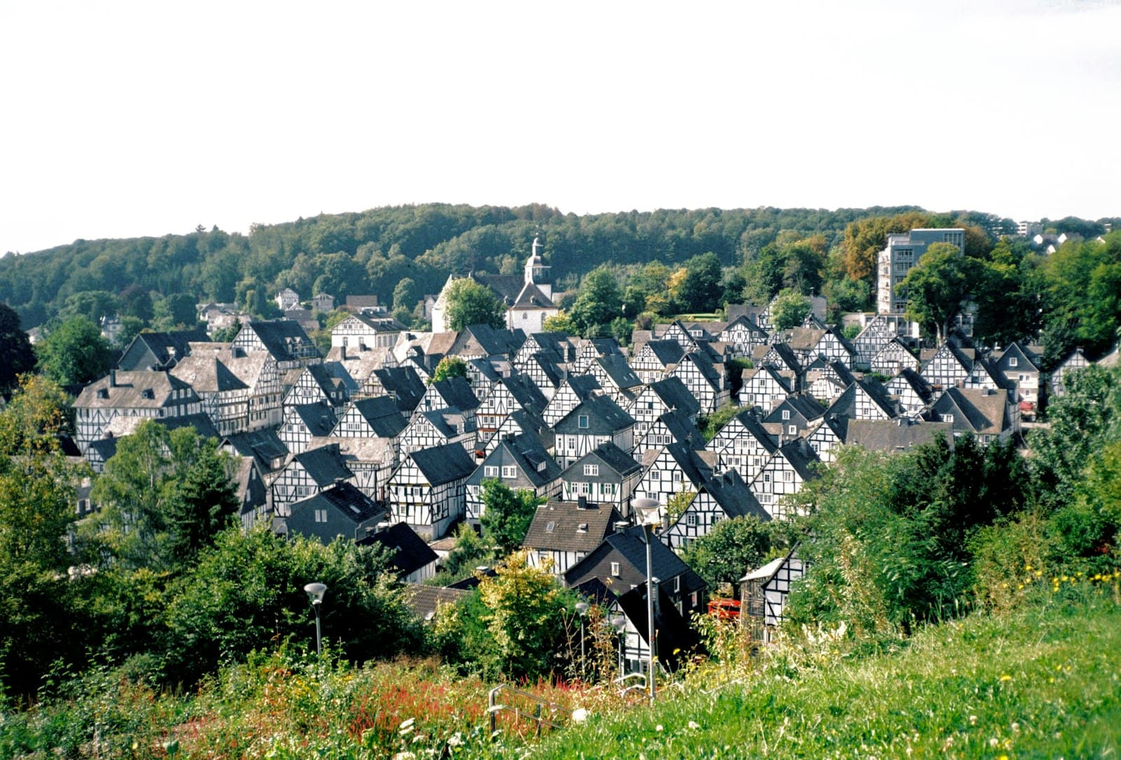 Lunebourg — a group of houses in a wooded area