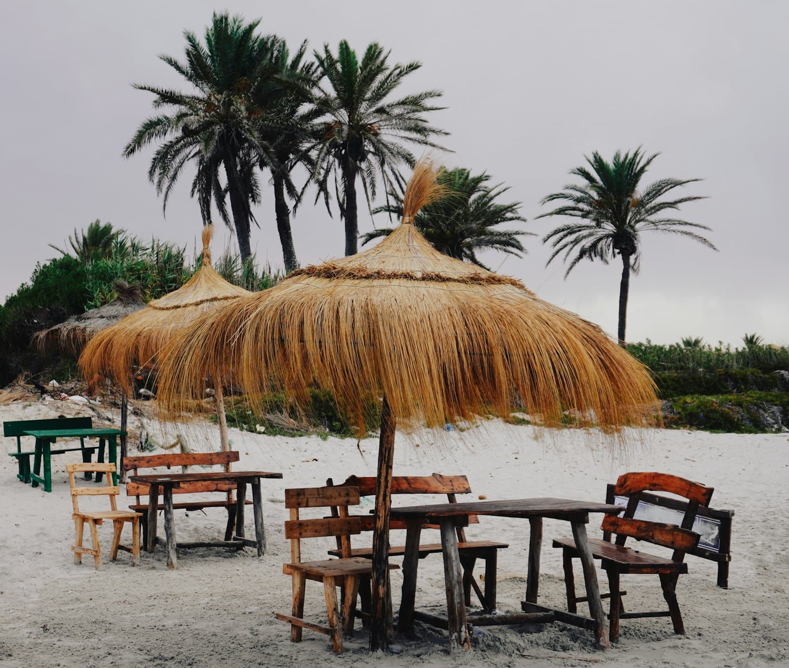 Mahdia — Beach tables and umbrellas under palm trees.