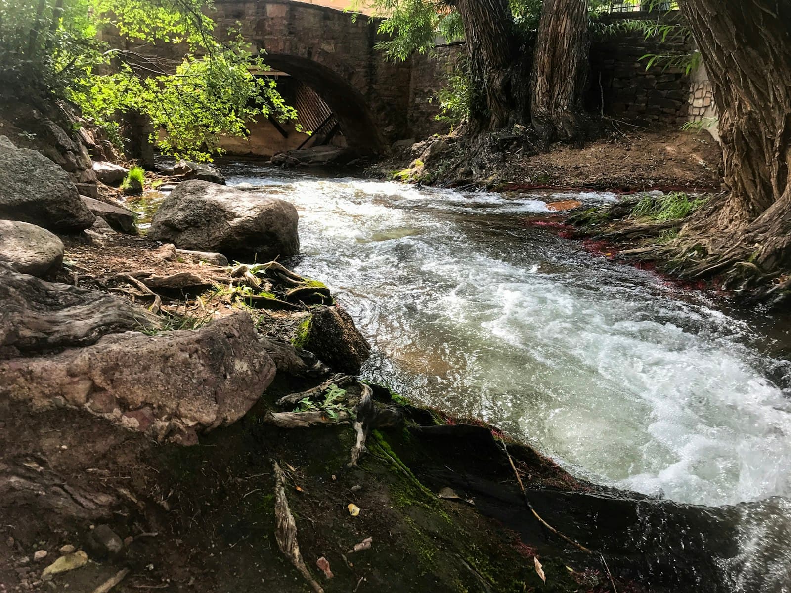 Manitou Springs — green moss covered rocks in bank of river