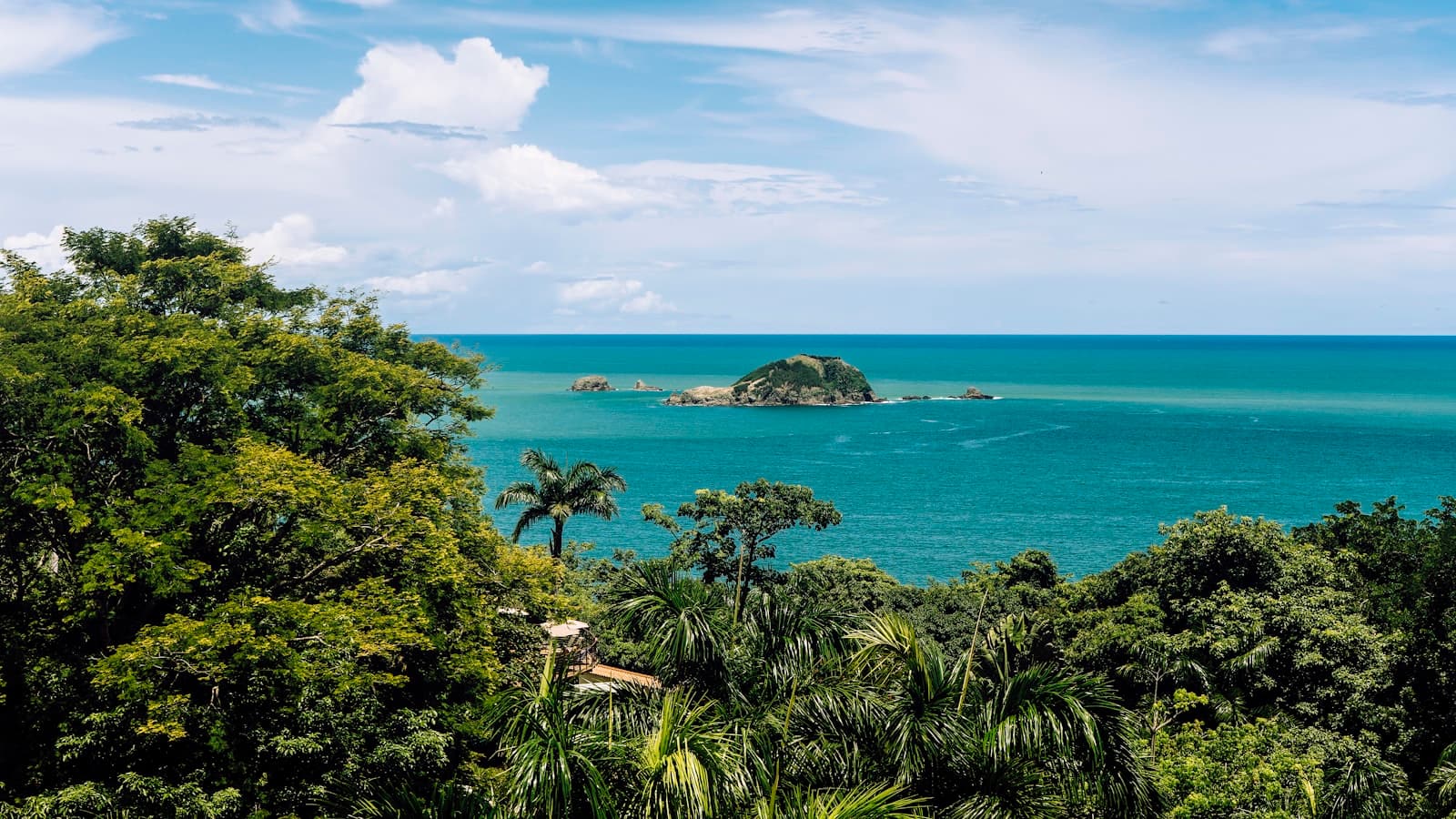 Manuel Antonio — green trees near blue sea under blue sky during daytime