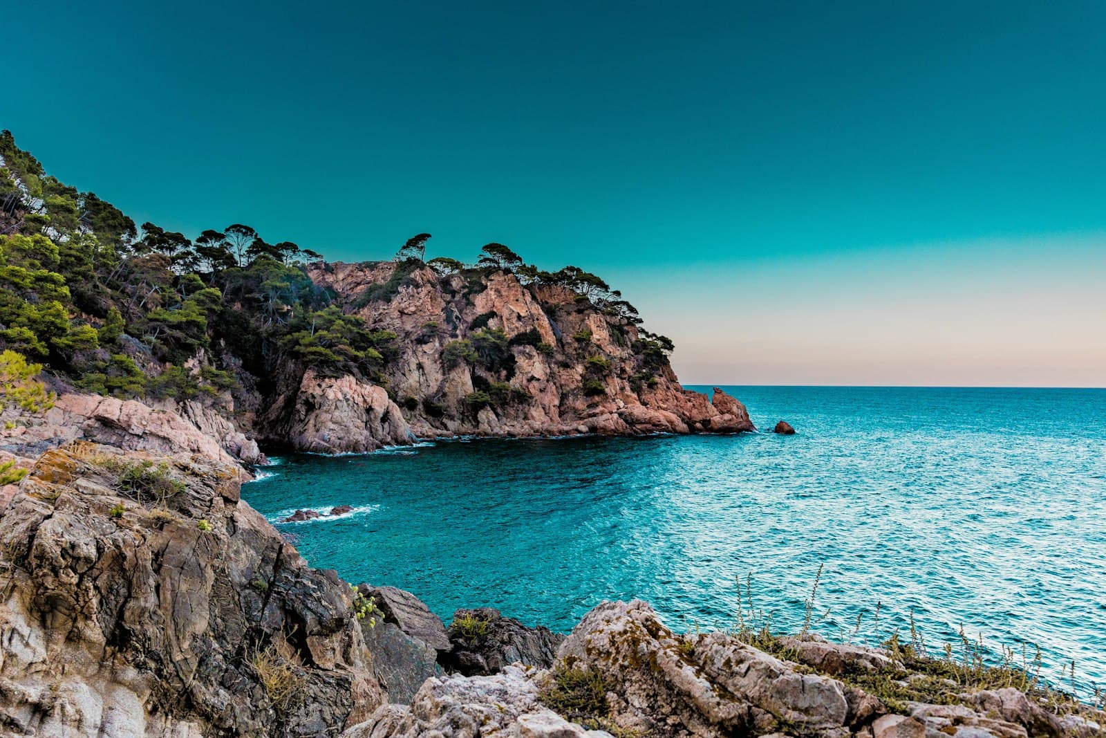 Marbella — green trees covered island