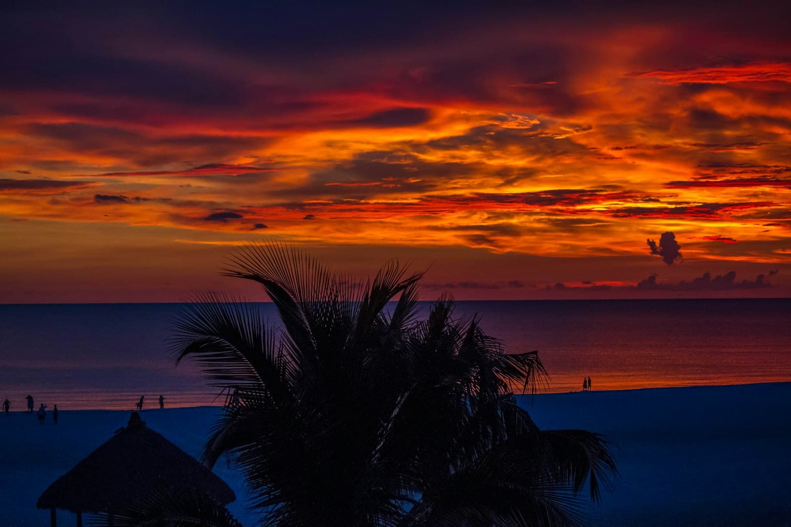 Marco Island — beach during sunset