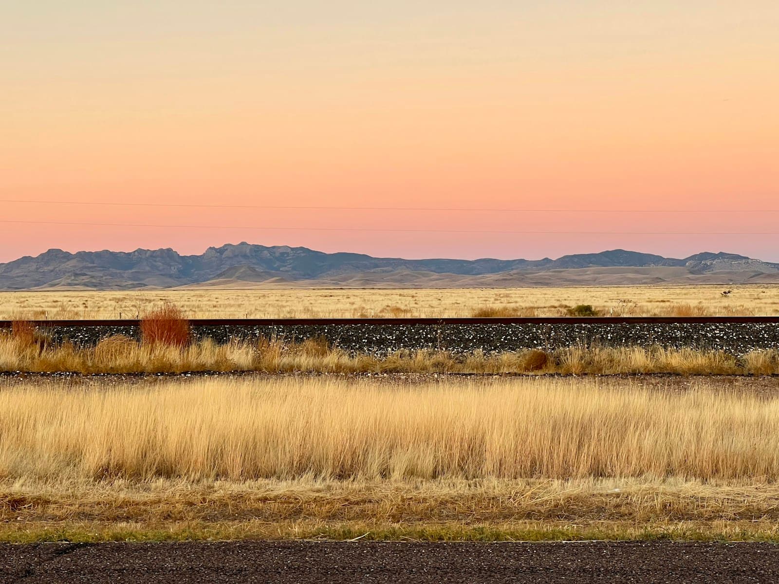 Marfa — a train traveling through a rural countryside under a pink sky