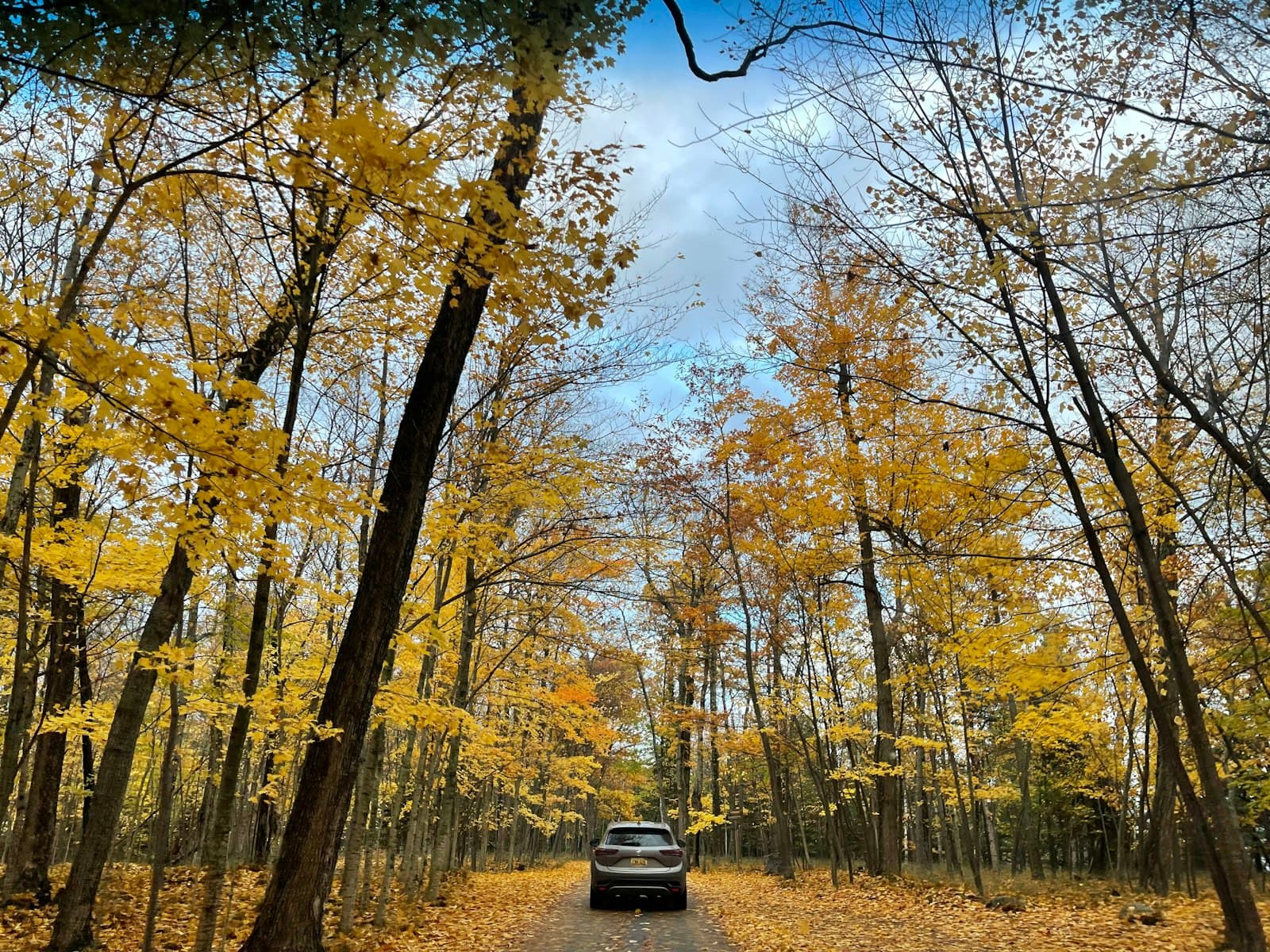 Marquette — a car driving down a leaf covered road
