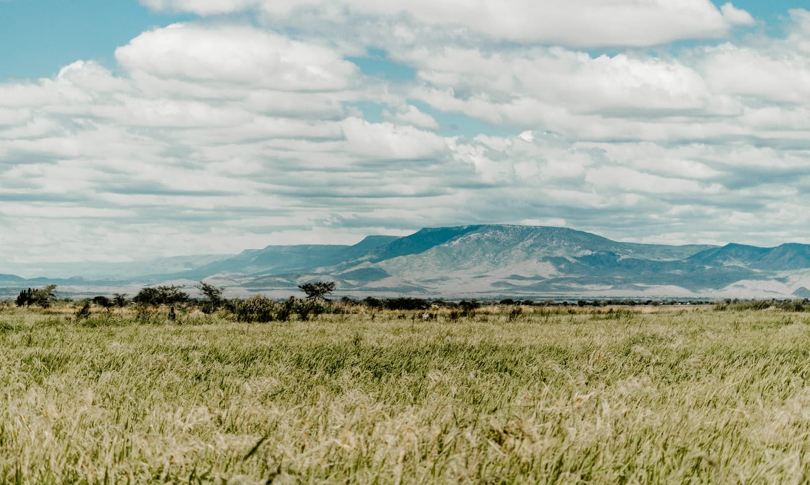 Mbeya — green grass field near mountain under white clouds and blue sky during daytime
