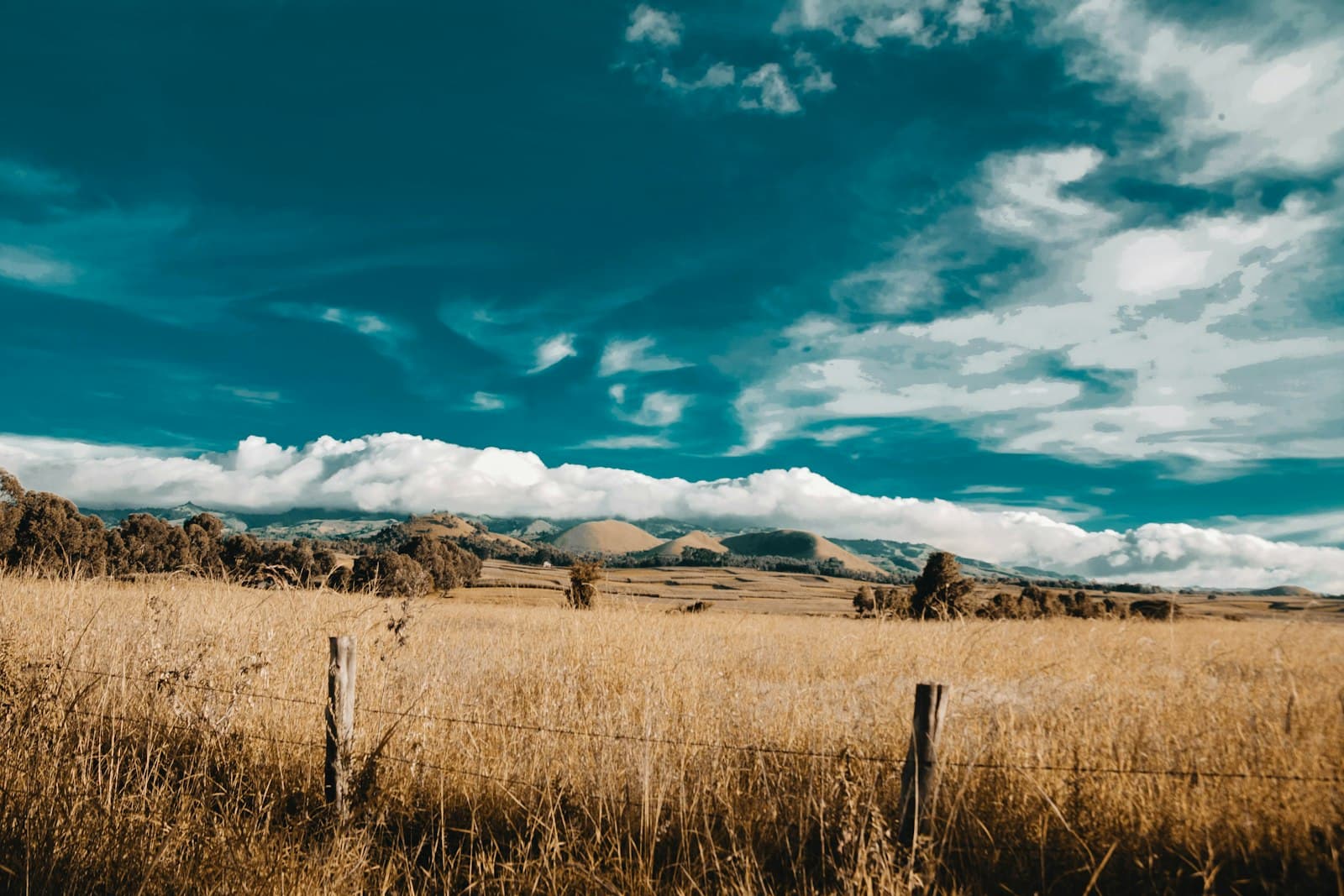 Mbeya — brown grass field under blue sky and white clouds during daytime