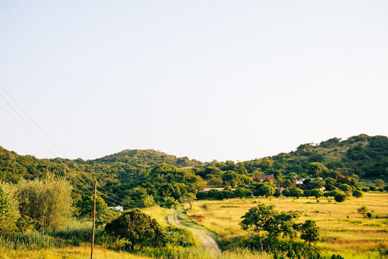 Mbombela — a dirt road going through a lush green field