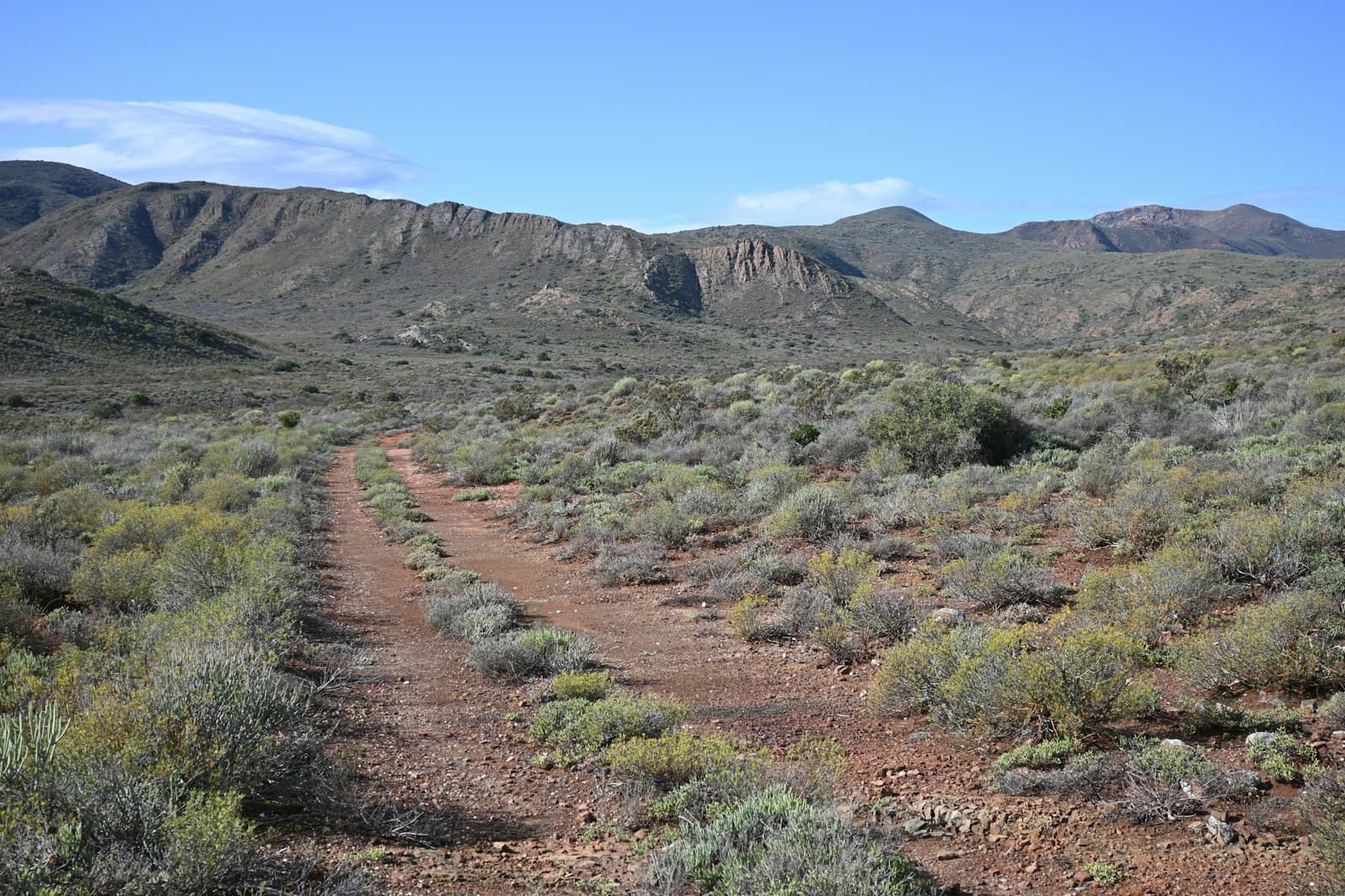 McGregor — a dirt road in the middle of a desert