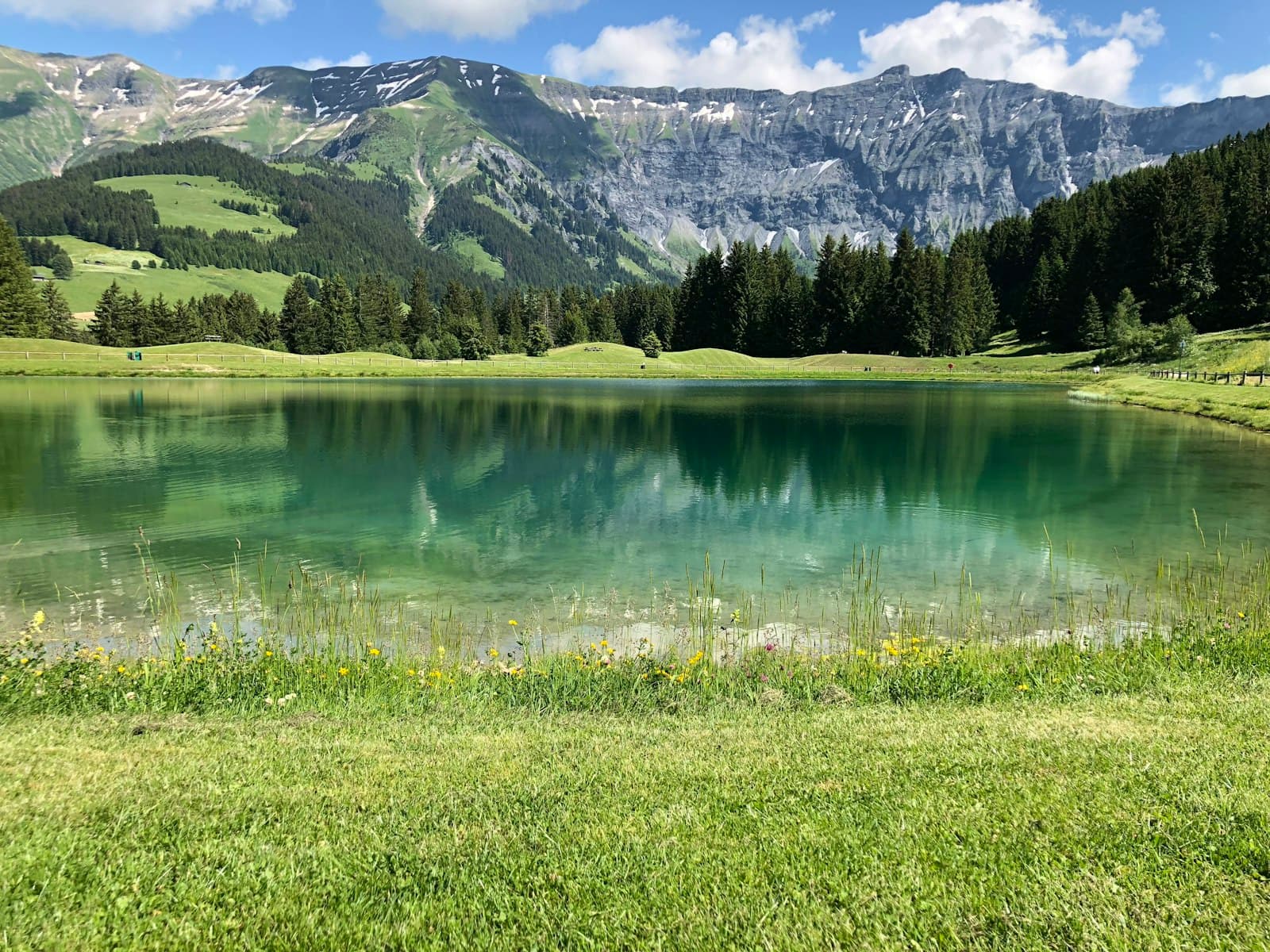 Megève — lake surrounded by pine trees