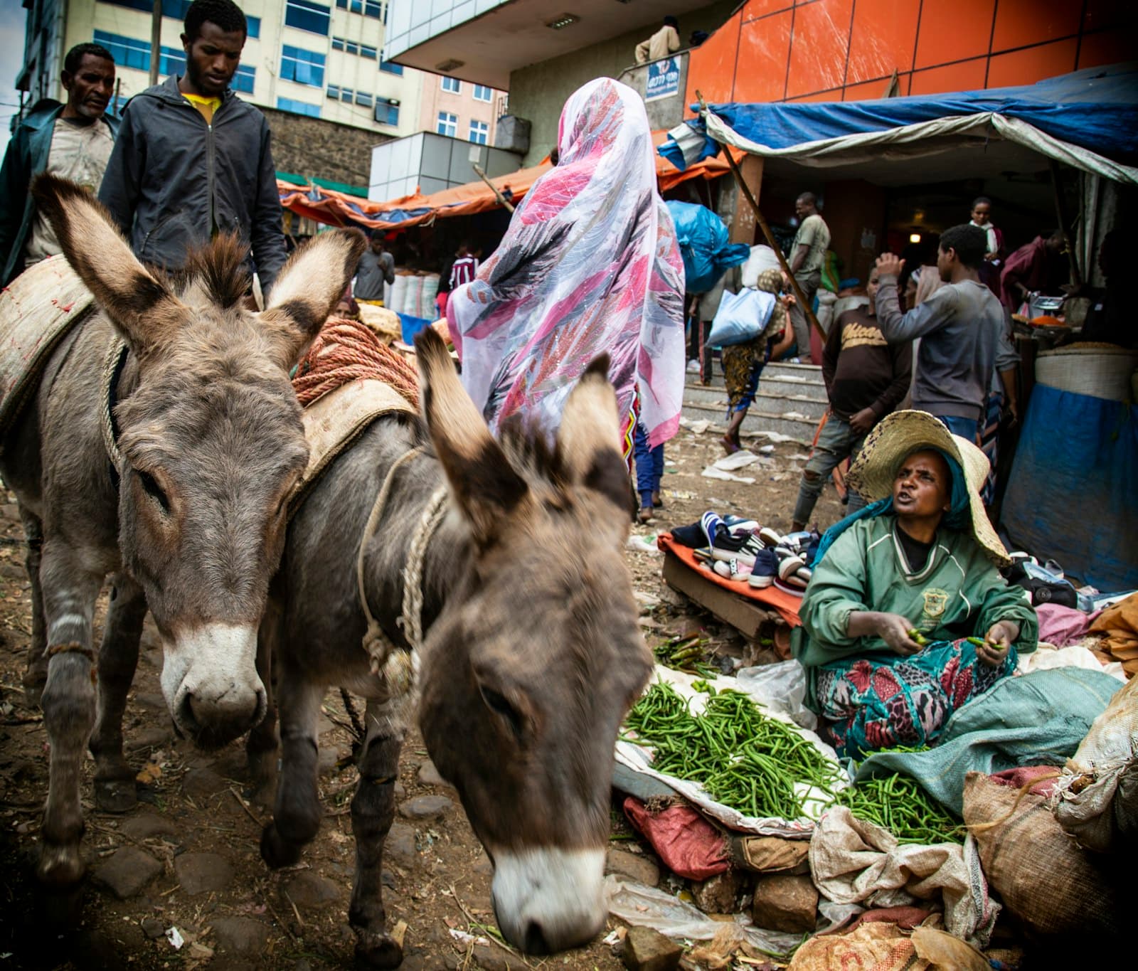 Mekele — woman in green dressed sitting beside green vegetable and two gray donkey's