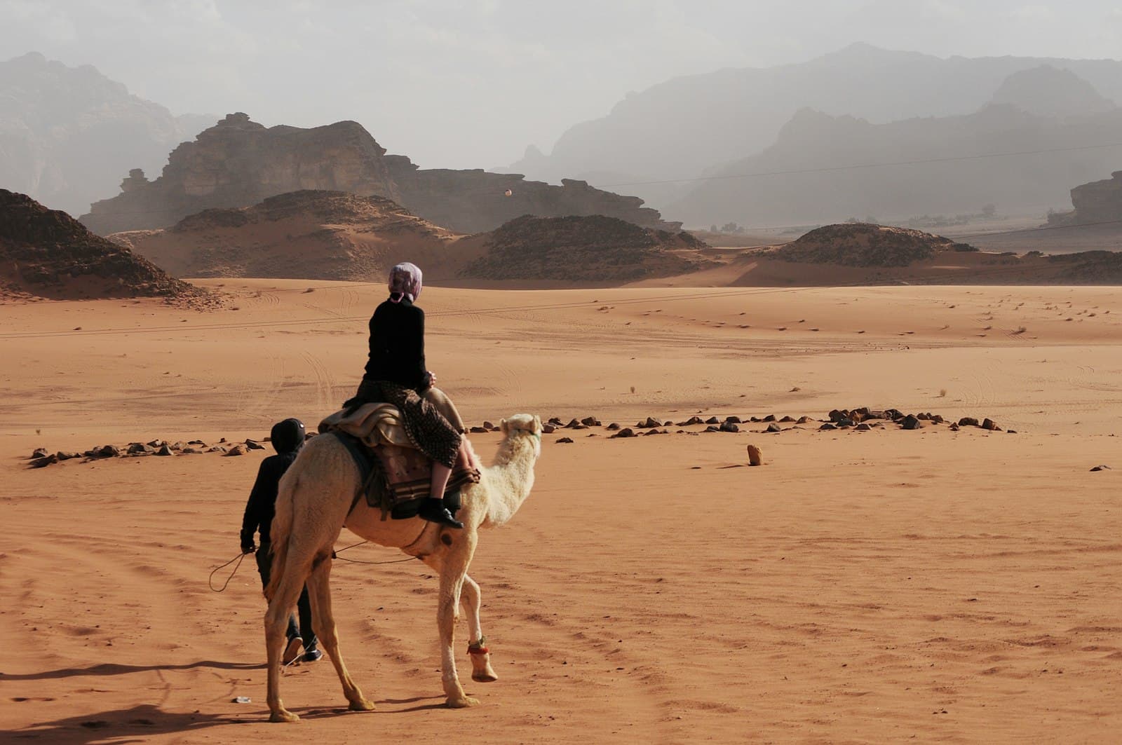 Mer Morte — person riding on white camel near mountain