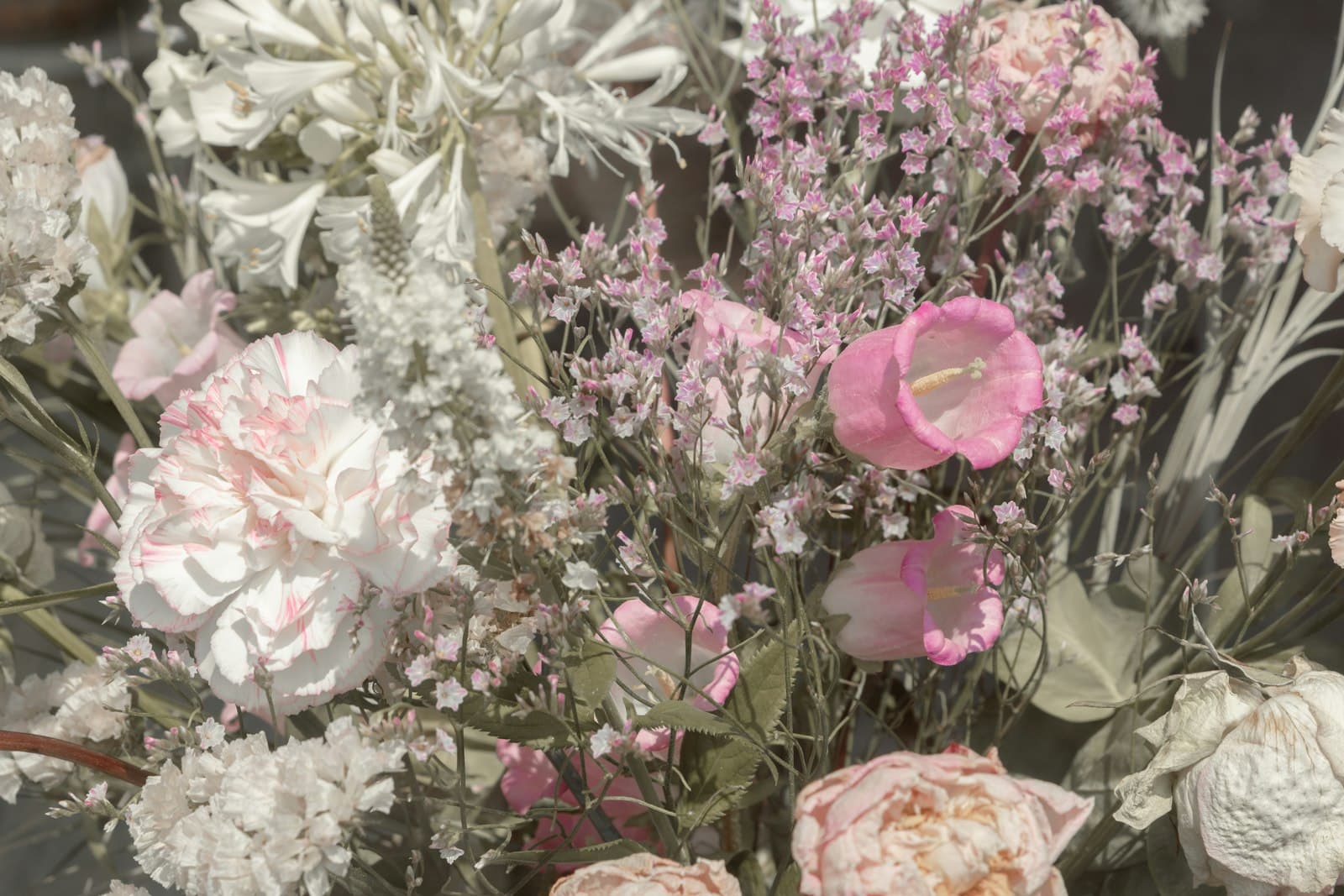 Middelburg — a vase filled with lots of pink and white flowers