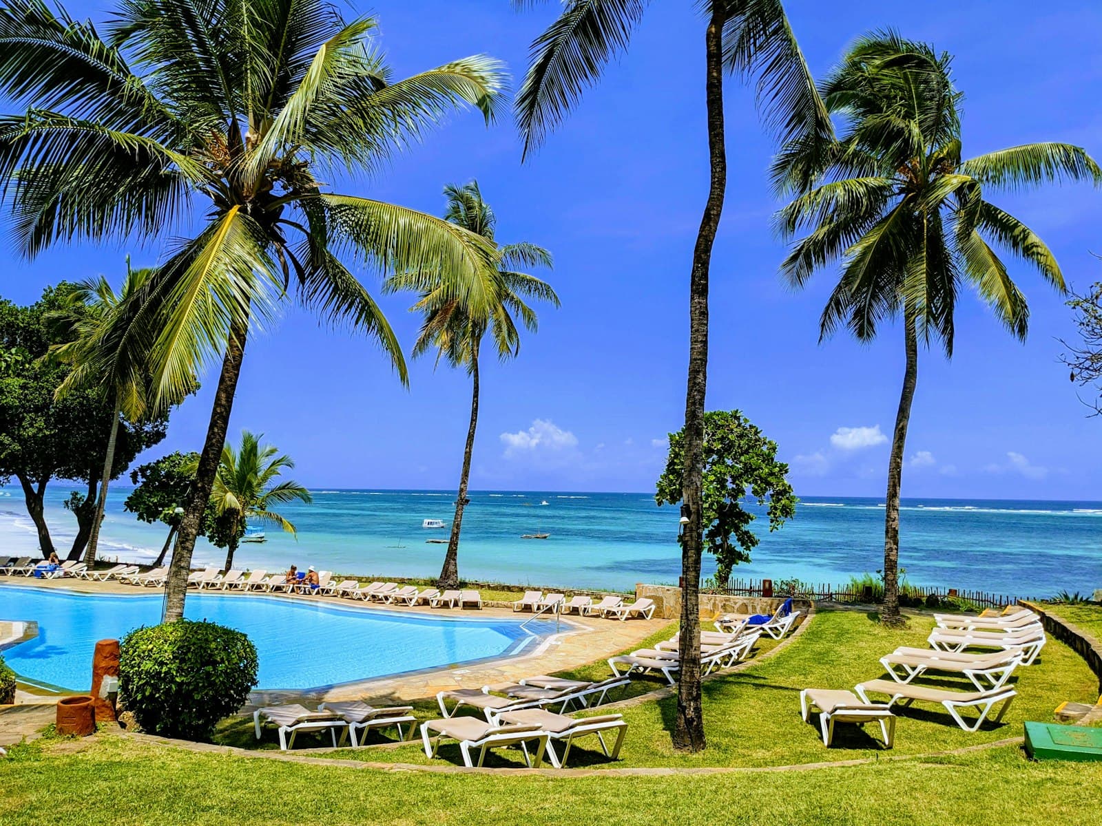 Mombasa — tall trees near beach