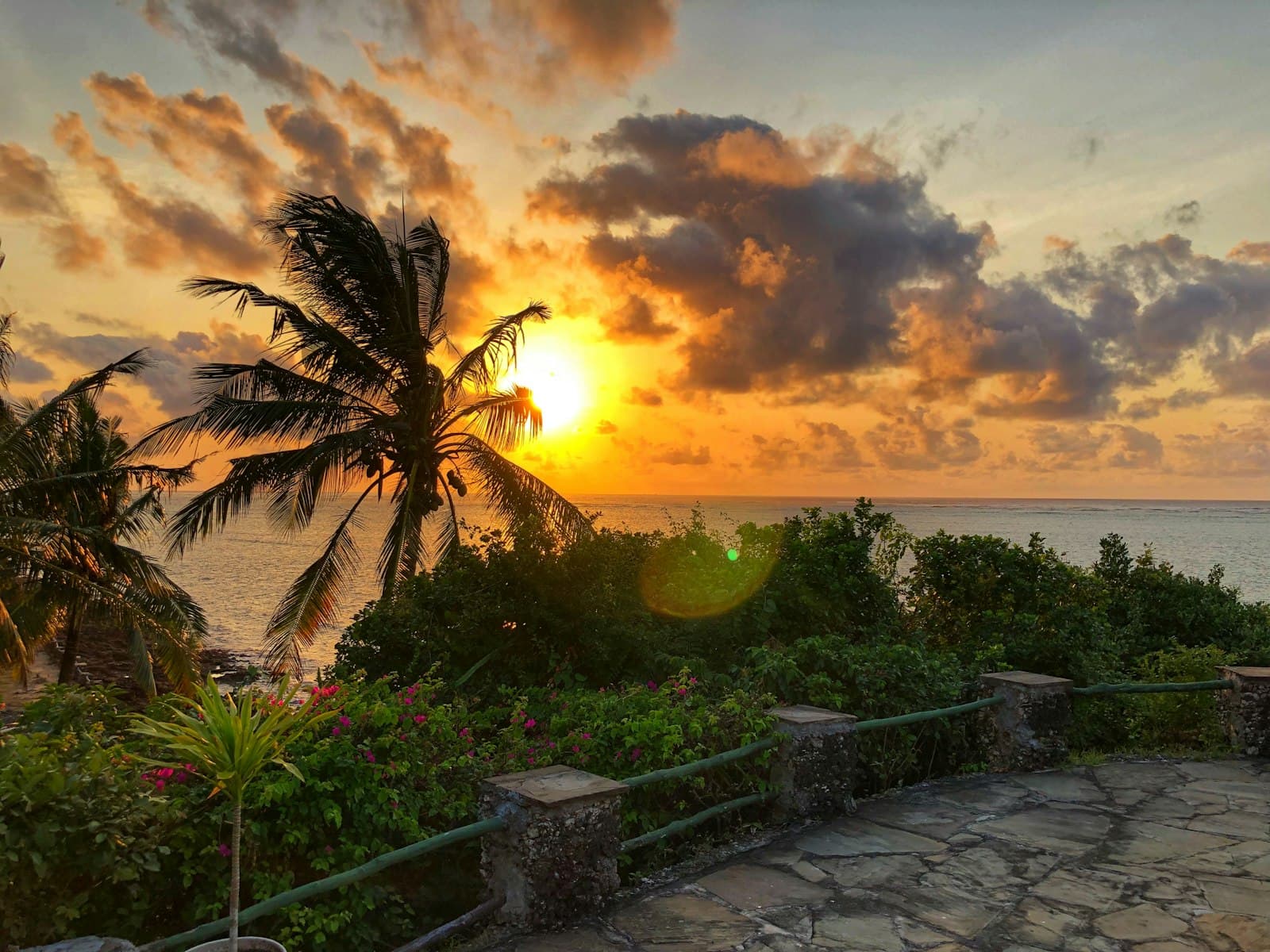 Mombasa — plants near body of water during golden hour