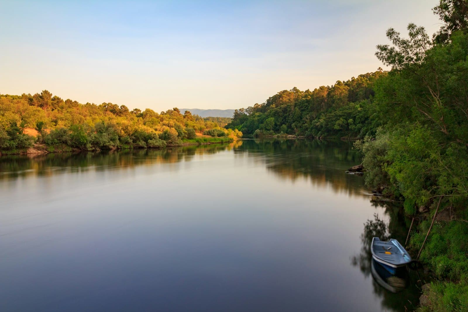 Monção — green and brown trees beside river during daytime