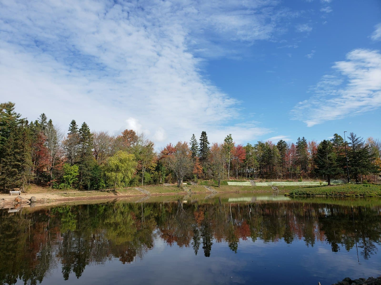 Moncton — green trees beside river under blue sky during daytime