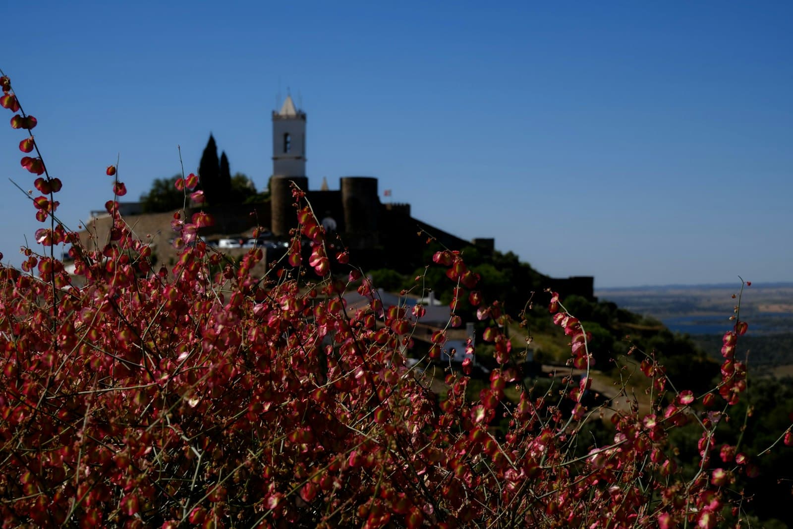 Monsaraz — a view of a small town from a hill
