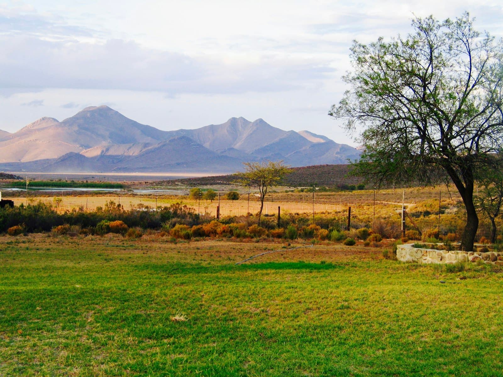 Montagu — green grass field near brown mountain under white sky during daytime