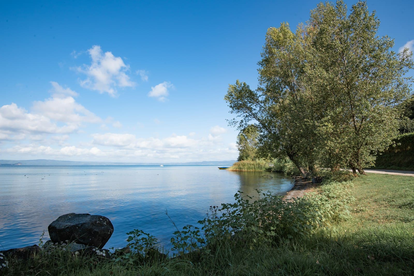 Montefiascone — Calm lake with trees and blue sky