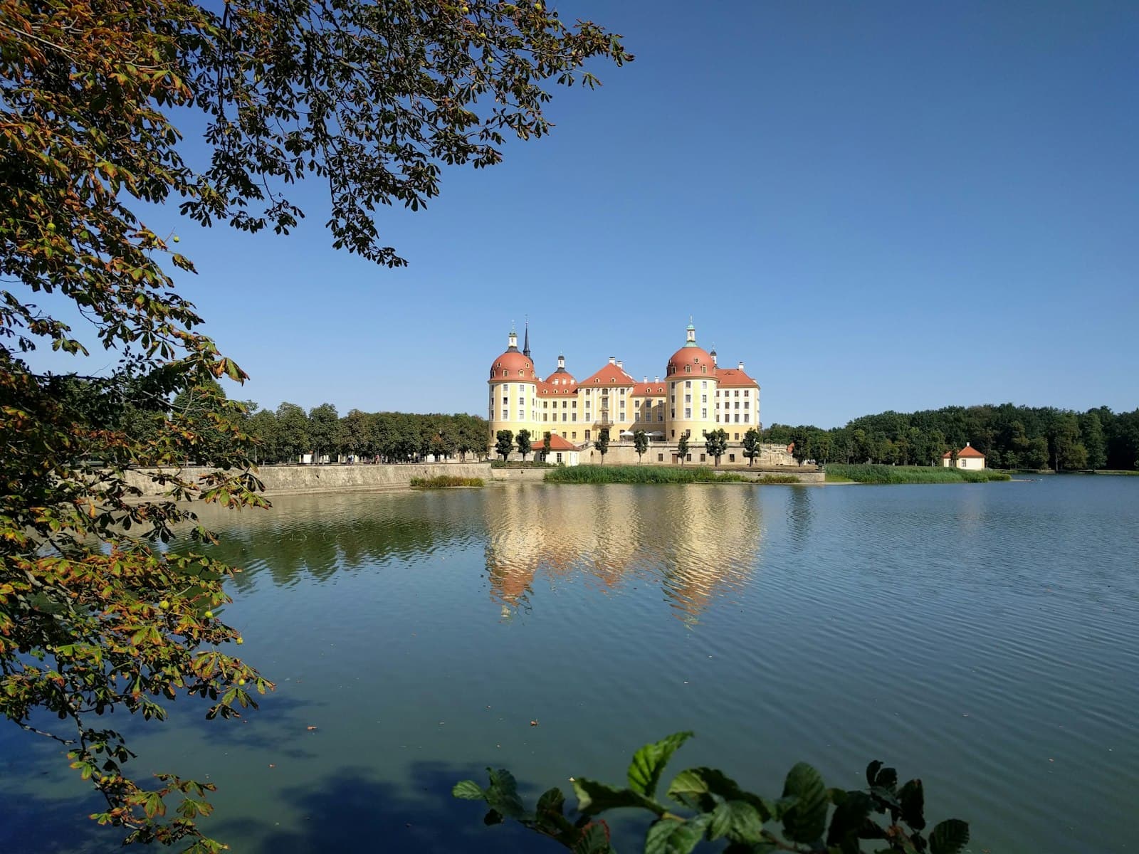 Moritzburg — white and brown concrete building near body of water during daytime