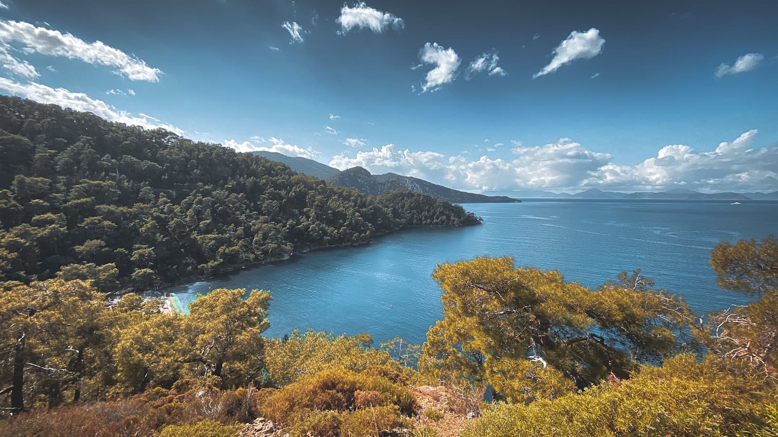 Muğla — a scenic view of a lake surrounded by trees