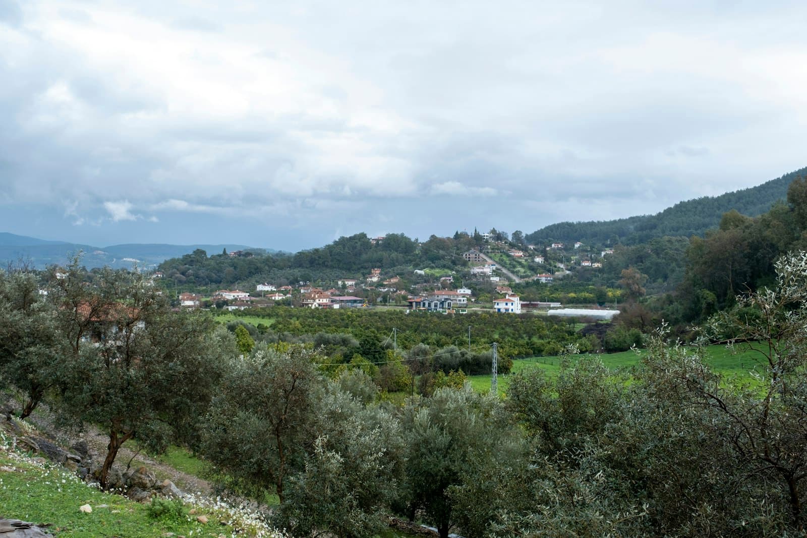 Muğla — a lush green hillside with a small town in the distance