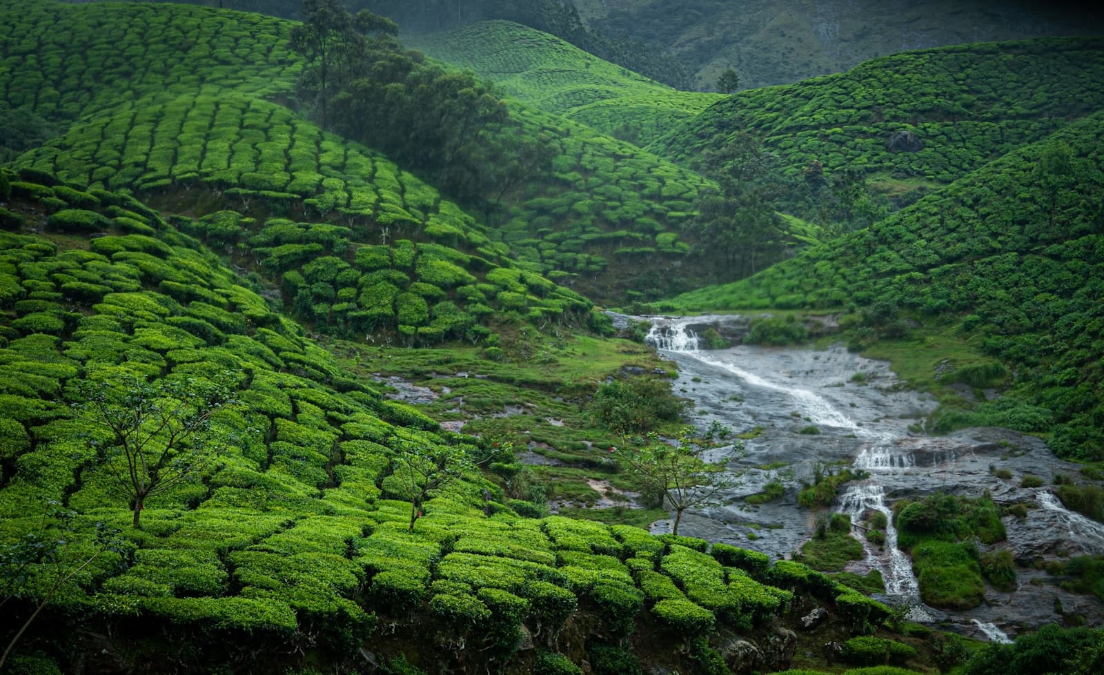 Munnar — a lush green hillside with a stream running through it
