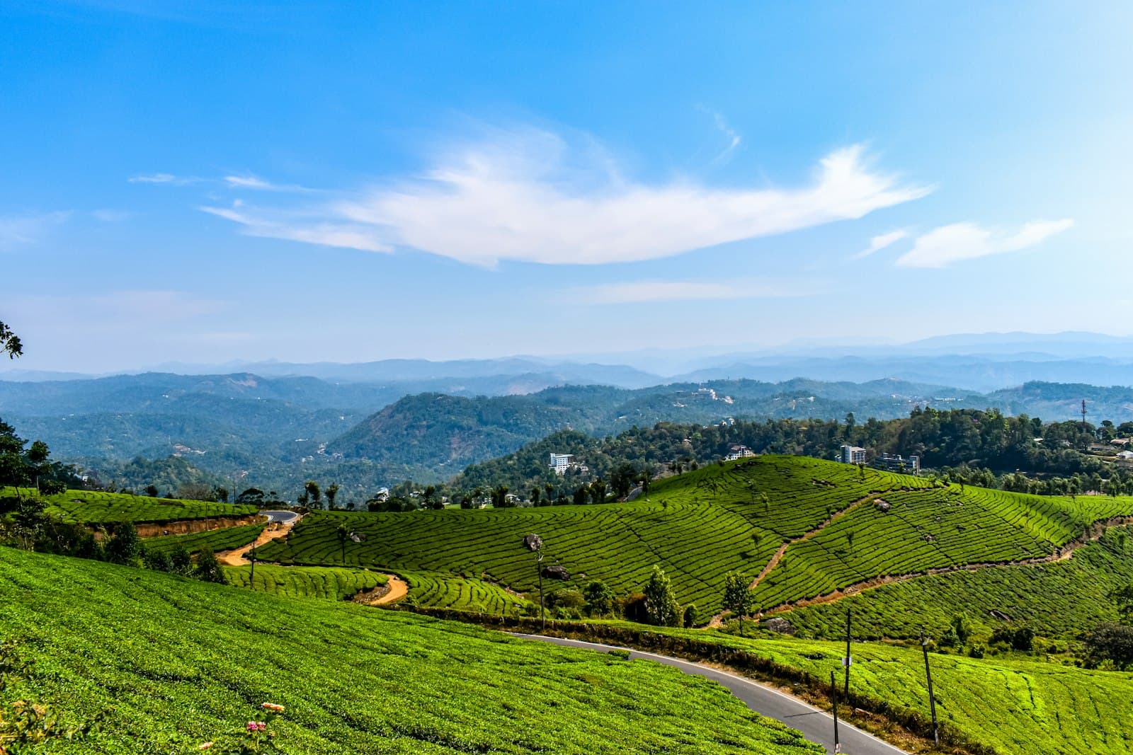 Munnar — green grass field near mountain under blue sky during daytime