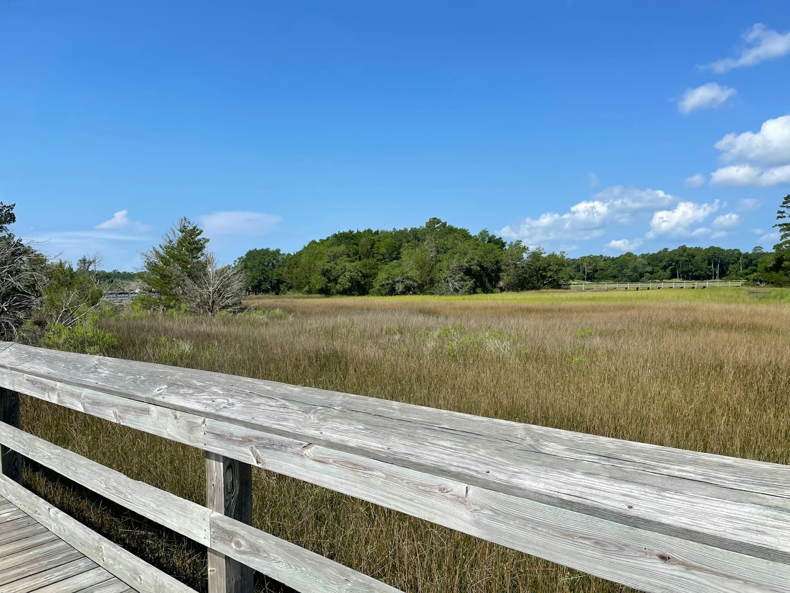 Myrtle Beach — a wooden bridge over a grassy field with trees in the background