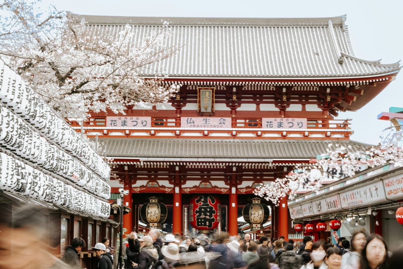 Naha — A japanese temple bustling with activity and cherry blossoms.