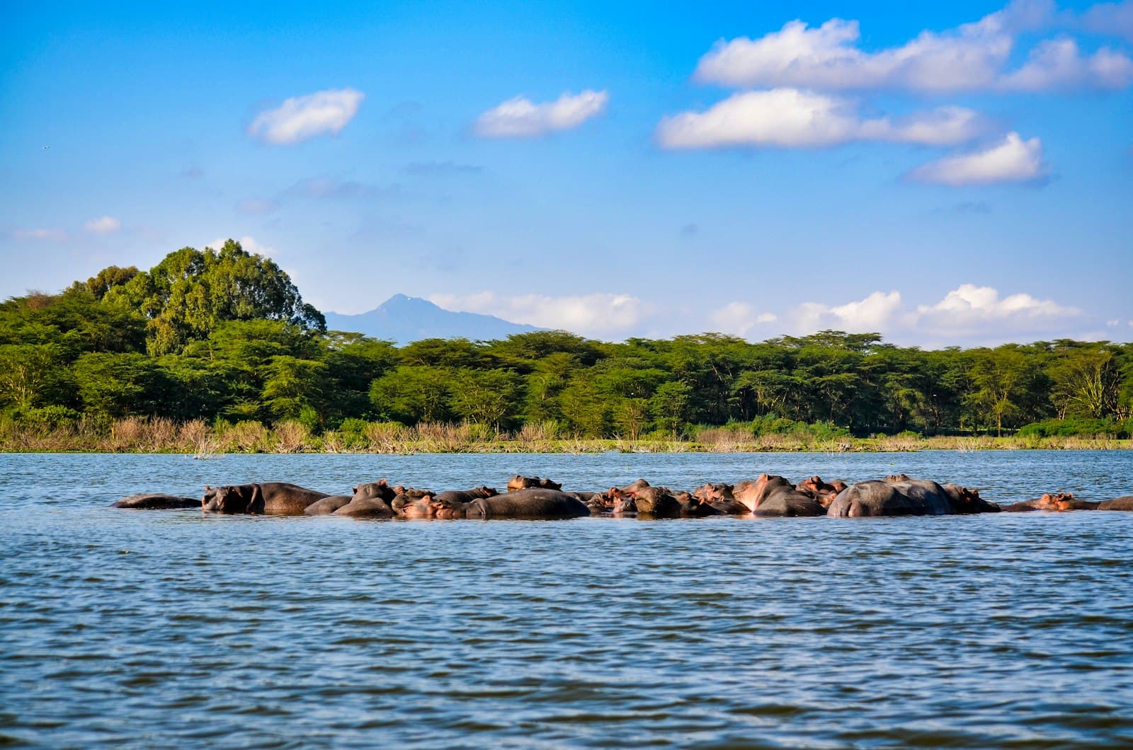 Nakuru — brown rocks on body of water during daytime